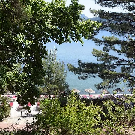 Park Hotel