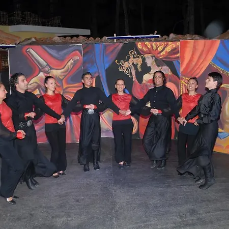 فندق بارك 3*