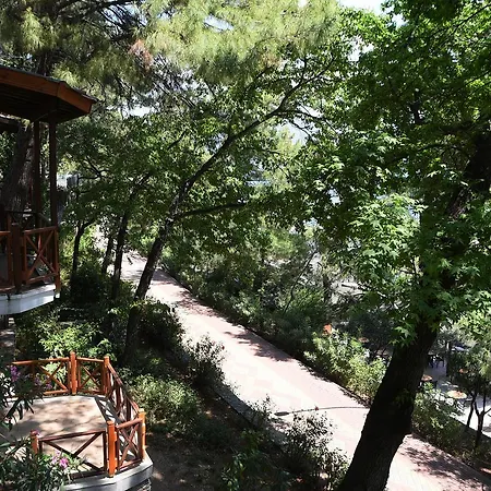 بارك فندق مرمريس